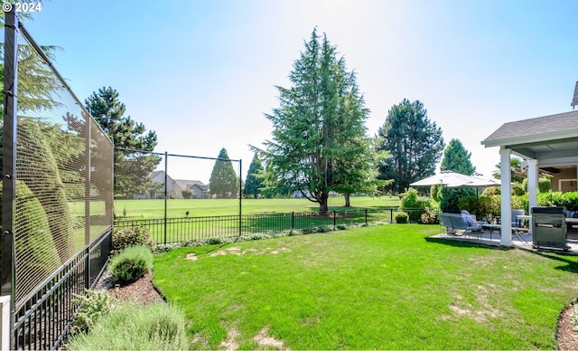 view of yard featuring a patio