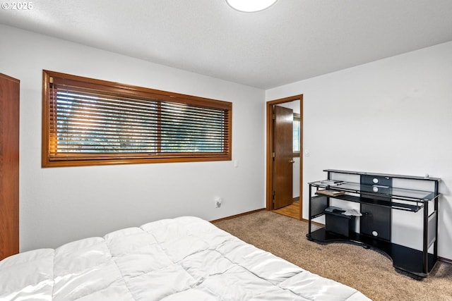 bedroom with carpet floors