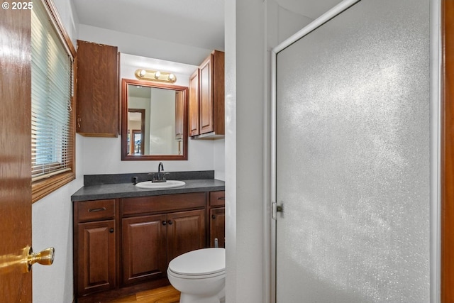 bathroom featuring toilet, vanity, and walk in shower