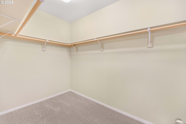 walk in closet with carpet