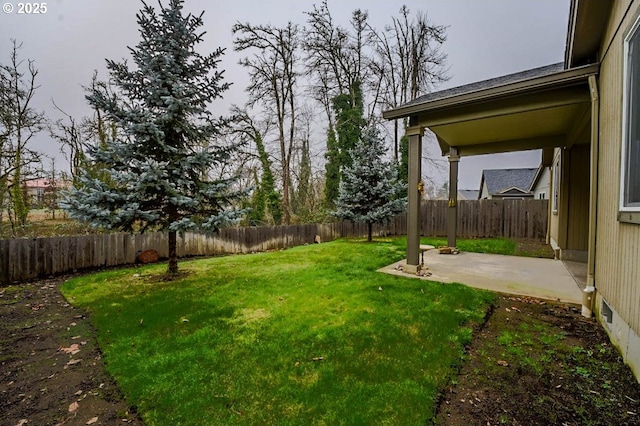 view of yard featuring a patio area and a fenced backyard