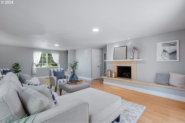 living room with wood-type flooring