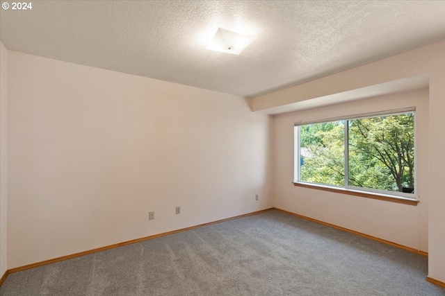 empty room with carpet floors and a textured ceiling