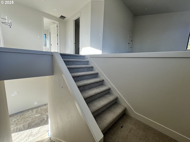 stairway with carpet floors