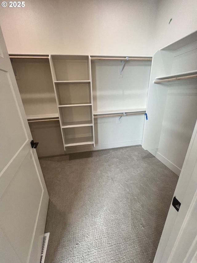 spacious closet featuring carpet