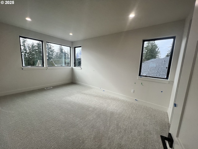 carpeted empty room featuring a wealth of natural light