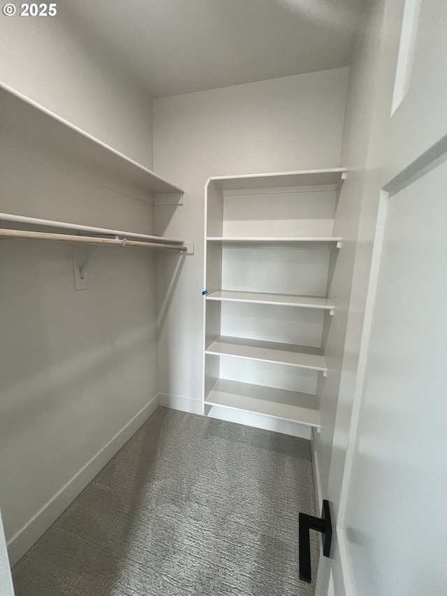 spacious closet featuring carpet floors