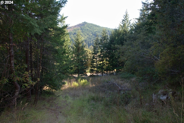 00 N Bank Rogue River Rd, Gold Beach OR, 97444 land for sale