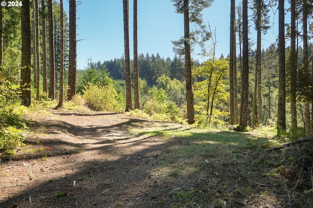 23835 Greasy Creek Rd, Philomath, OR 97370 - view of woods