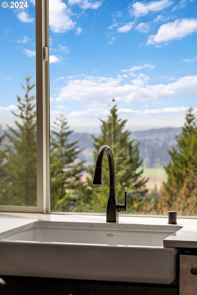 room details with sink