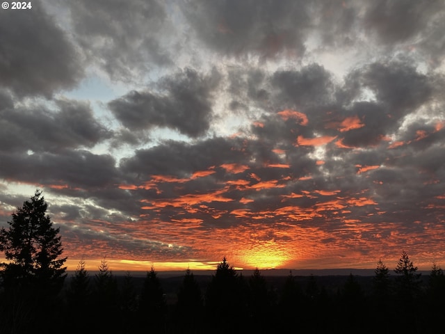 view of nature at dusk