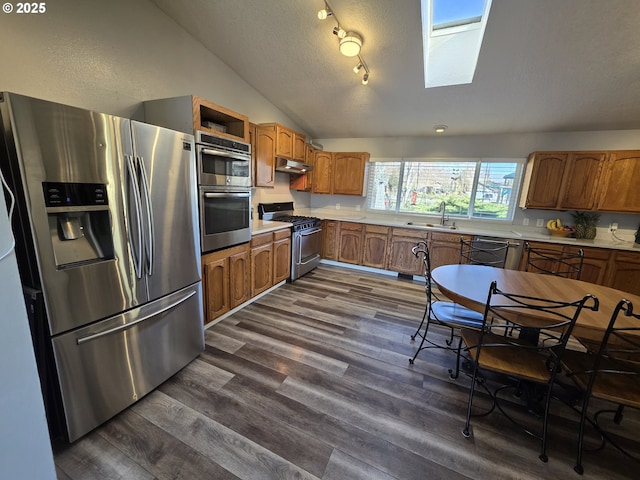 kitchen featuring vaulted ceiling with skylight, appliances with stainless steel finishes, dark wood-type flooring, light countertops, and a sink