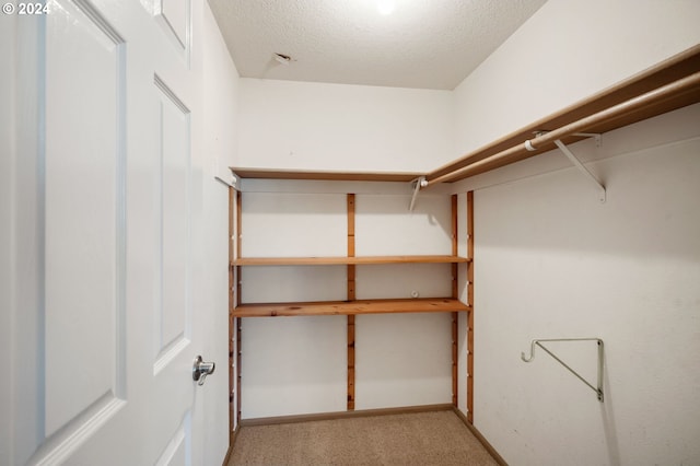 walk in closet featuring light carpet