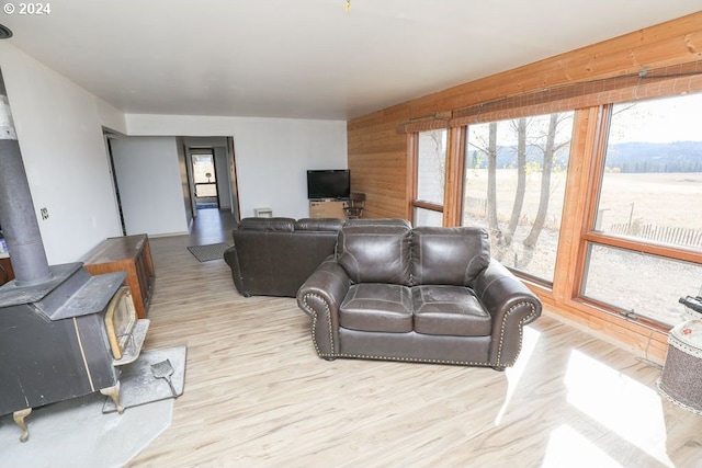 living room with a wood stove and light hardwood / wood-style floors