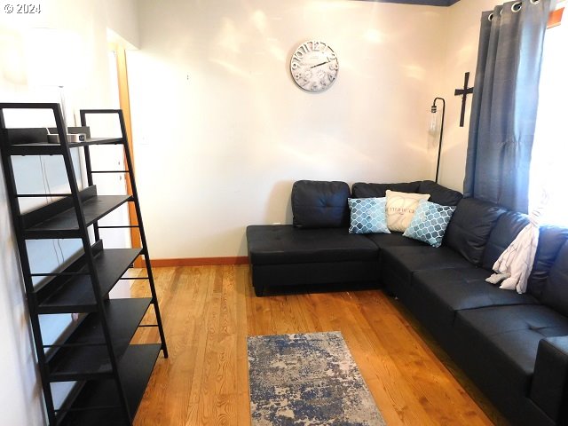 living room featuring wood-type flooring