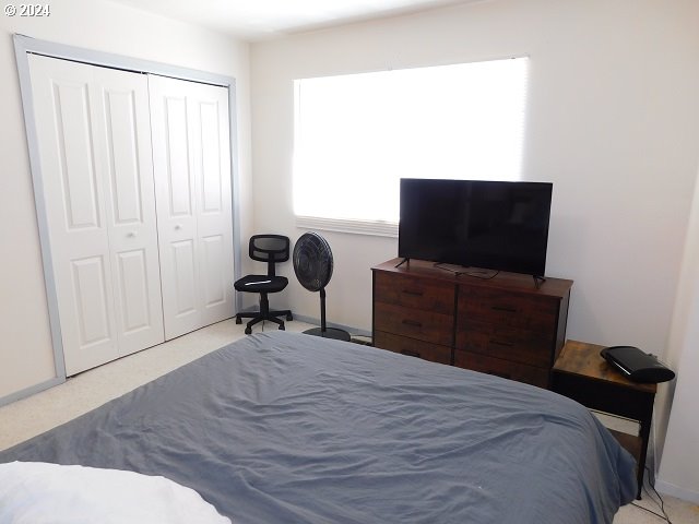 carpeted bedroom featuring a closet