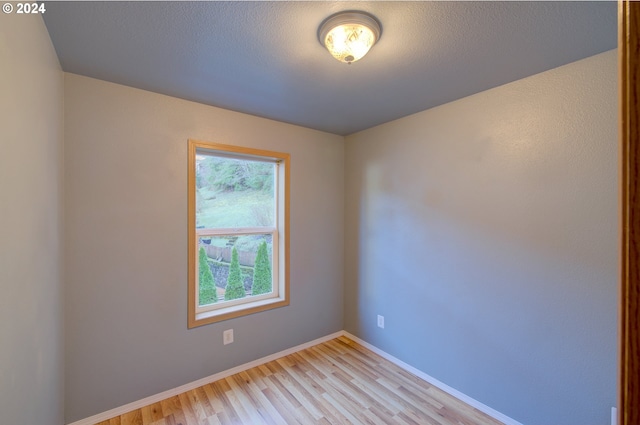 spare room with light wood-type flooring and a healthy amount of sunlight