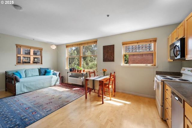 1134 SW Jefferson St Unit 506, Portland, OR 97201 - living room featuring light wood-style floors, baseboards, and an AC wall unit