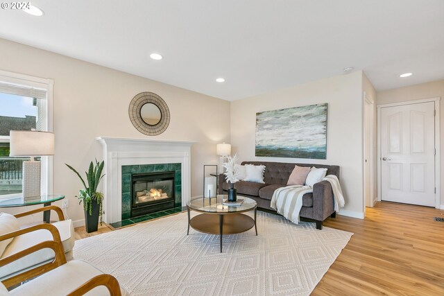 living room with a fireplace and light hardwood / wood-style flooring