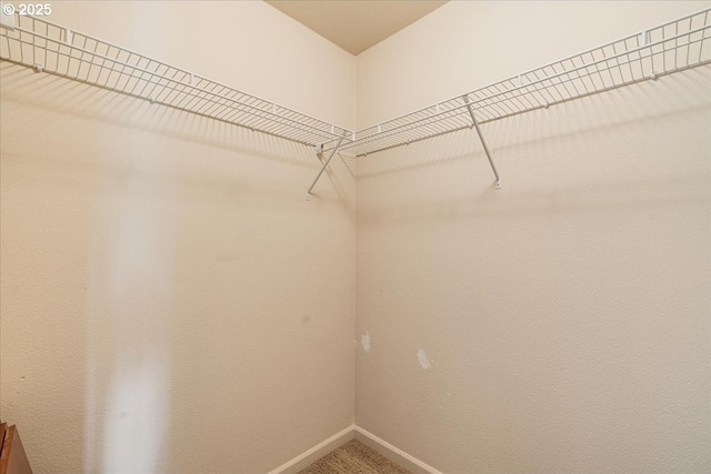 walk in closet with carpet