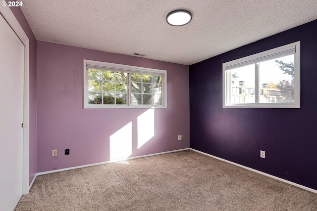 spare room featuring a wealth of natural light, a textured ceiling, and carpet flooring