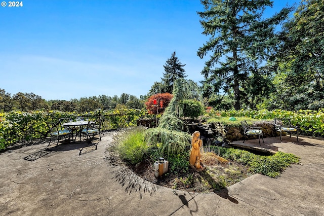 view of yard with a patio area