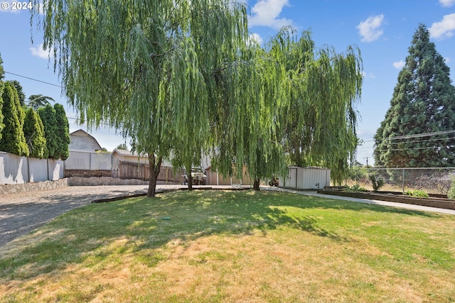 view of yard with a storage unit