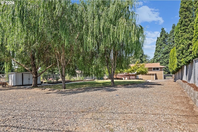 view of yard with a storage shed