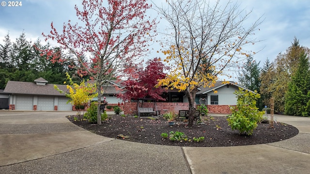 1081 Umpqua College Rd, Roseburg, OR 97470 - view of property hidden behind natural elements featuring brick siding and concrete driveway