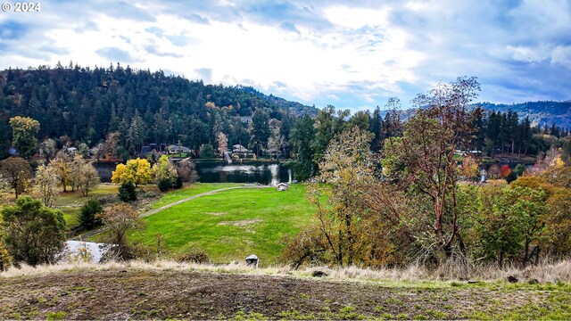 1081 Umpqua College Rd, Roseburg, OR 97470 - mountain view featuring a forest