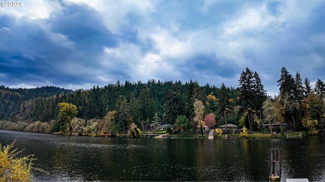 1081 Umpqua College Rd, Roseburg, OR 97470 - water view with a heavily wooded area