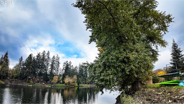 1081 Umpqua College Rd, Roseburg, OR 97470 - water view