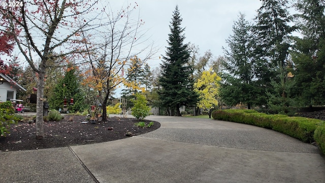 1081 Umpqua College Rd, Roseburg, OR 97470 - view of concrete driveway