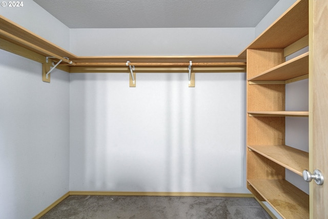 walk in closet featuring carpet