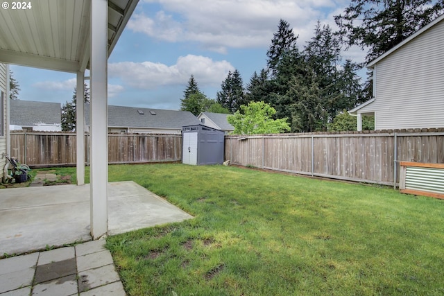 view of yard featuring a patio area and a shed