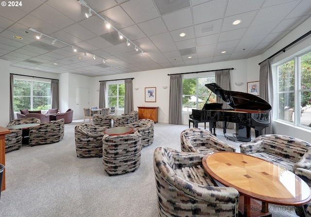 carpeted living room with plenty of natural light