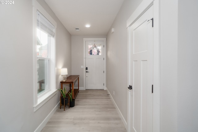 doorway featuring a wealth of natural light and light hardwood / wood-style flooring