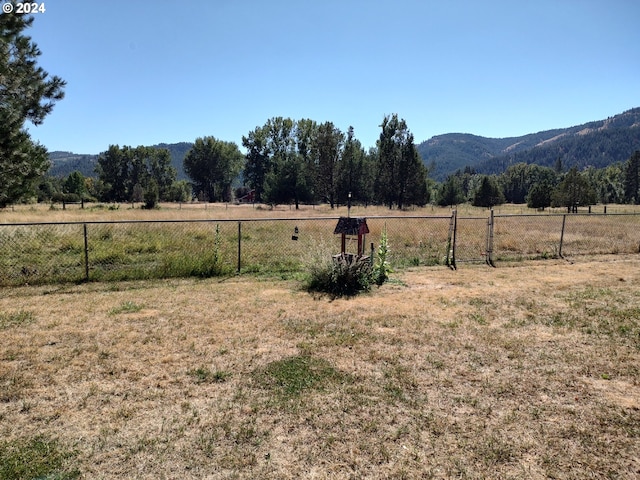 view of yard featuring a mountain view and a rural view