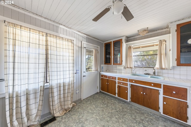 kitchen featuring a healthy amount of sunlight, sink, and backsplash