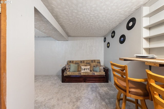 interior space with light colored carpet and a textured ceiling