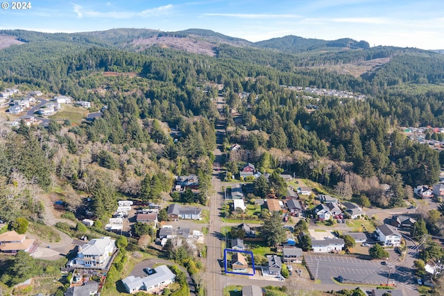 drone / aerial view with a mountain view