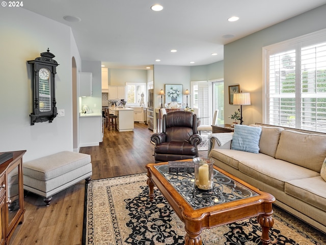 living room featuring wood-type flooring