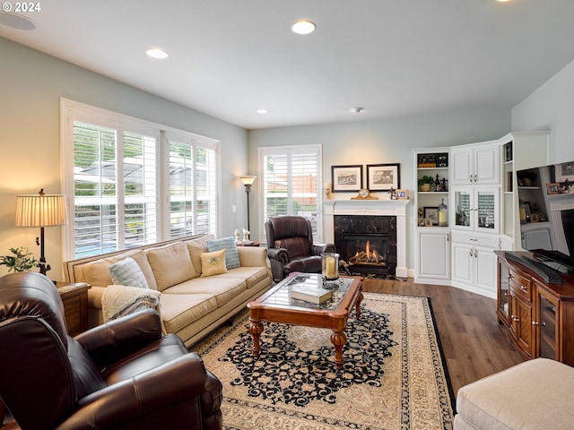 living room featuring dark hardwood / wood-style flooring and a premium fireplace