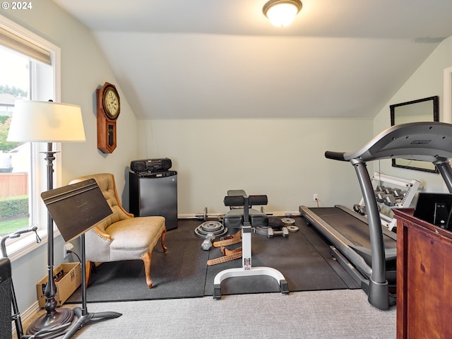 exercise room featuring lofted ceiling and carpet floors