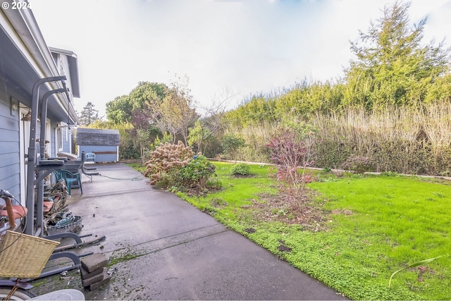 view of yard featuring a patio area and an outdoor structure