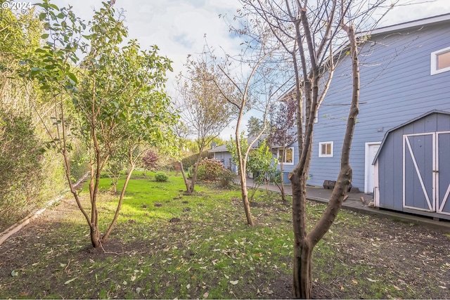 314 S Hazel St, Brookings, OR 97415 - view of green lawn