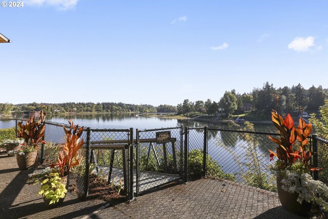 dock area with a water view