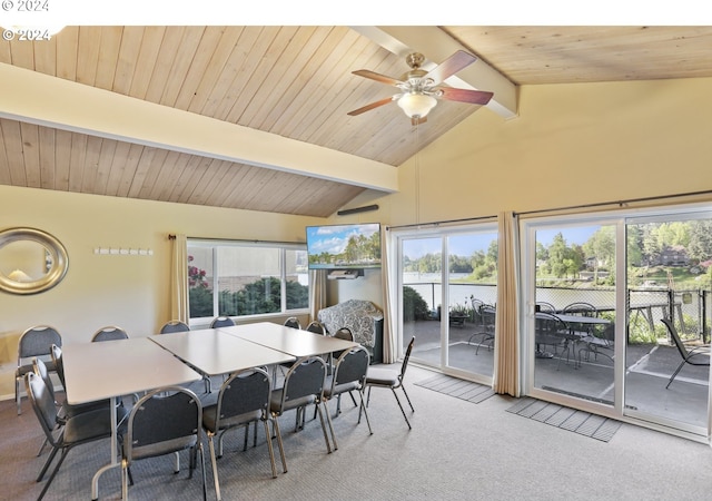 dining space with carpet, ceiling fan, beamed ceiling, and a healthy amount of sunlight