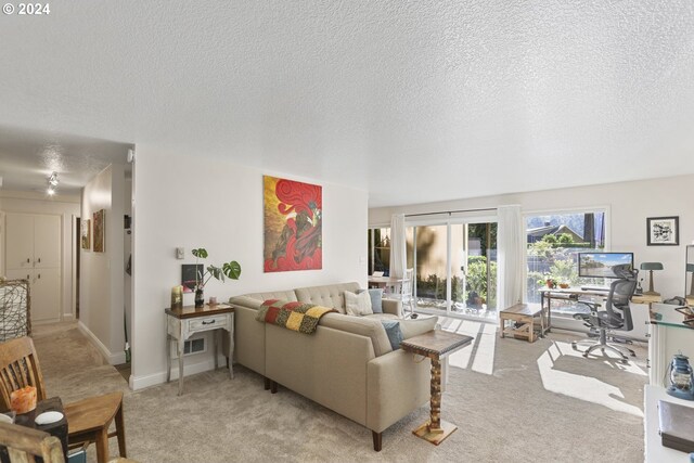 living room with light colored carpet and a textured ceiling