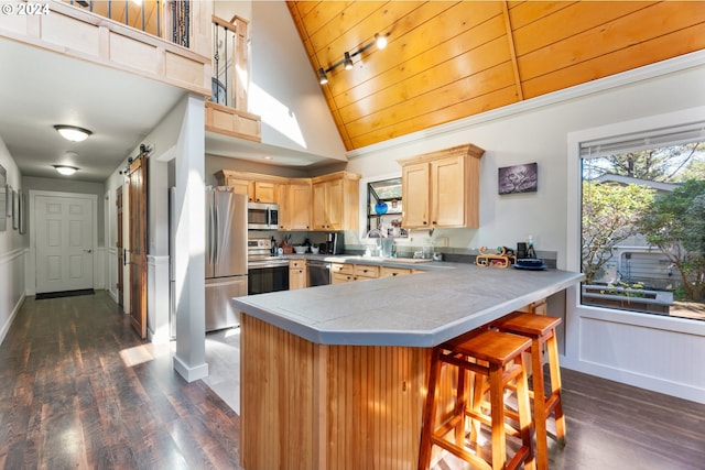 kitchen featuring appliances with stainless steel finishes, a peninsula, a kitchen breakfast bar, and a barn door